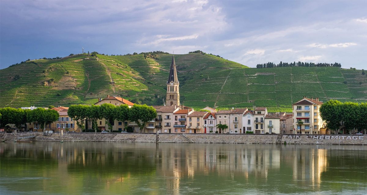Northern Rhône vineyards above a riverside town