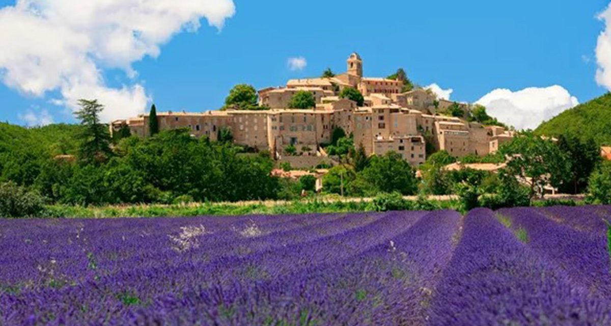 Lavender and a castle in Provence